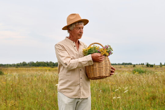 A person stands in a field holding a basket filled with various herbs. They look thoughtfully at the plants around them while gathering medicinal items