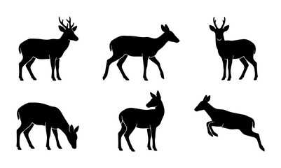 Obraz premium Deer Silhouettes Collection: Wildlife Animal Icons, Forest Fauna Vector Graphics, Nature Mammal Poses