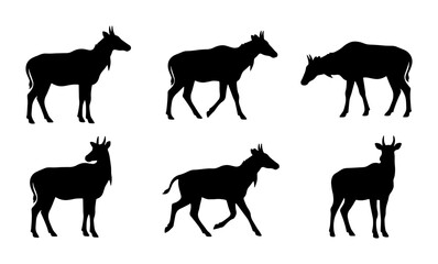 Fototapeta premium Nilgai Antelope Silhouettes Collection, Wildlife Animal Vector Icons, Grazing and Standing Poses