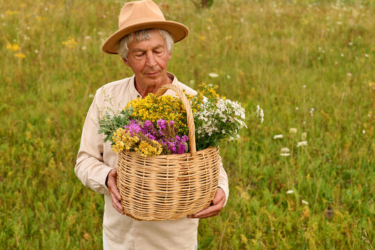 A person stands in a green field holding a basket full of colorful herbs and flowers. The sun shines brightly, making the plants look vibrant and fresh