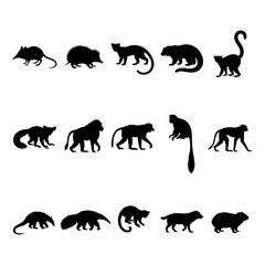 Obraz premium Collection of animal silhouettes against a white background