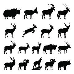 Obraz premium Silhouettes Of Antelope Gazelle And Bison Against White Background