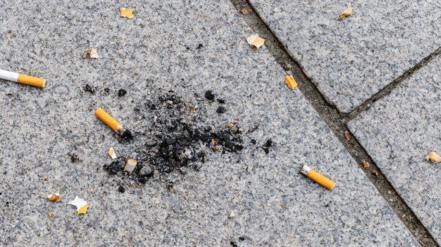 The Cigarette Butts Scattered Across Cracked Concrete Sidewalk in Urban Scene