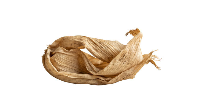 Dry corn husk leaves isolated on transparent background for autumnal decor and natural craft projects.