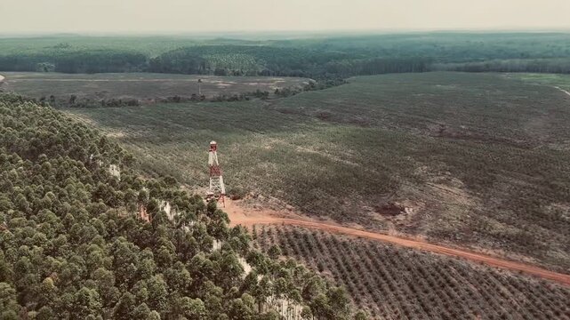 Aerial view of a fire watchtower in an industrial eucalyptus forest plantation in Sumatra.
