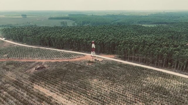 Aerial view of a fire watchtower in an industrial eucalyptus forest plantation in Sumatra.