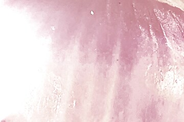 Obraz premium Abstract Pink Onion Skin Texture Close Up