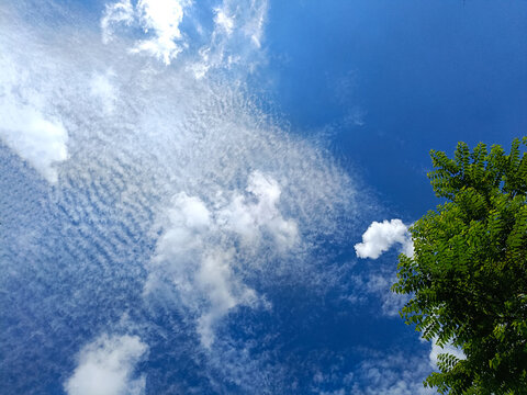 Bright blue sky with scattered white clouds and green tree foliage