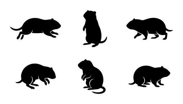 Gopher Silhouette Collection, Rodent Animal Icons, Wildlife Vector Graphics, Mammal Poses, Black and White Graphics
