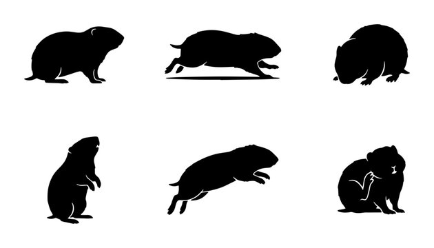 Gopher Silhouette Collection, Rodent Animal Poses, Wildlife Vector Icons, Black and White Mammal Graphics, Groundhog Action Set