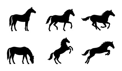 Obraz premium Six Black Horse Silhouettes, Vector Icons Set: Galloping, Rearing, Grazing, Standing, Jumping Equine Poses for Equestrian and Animal Graphics
