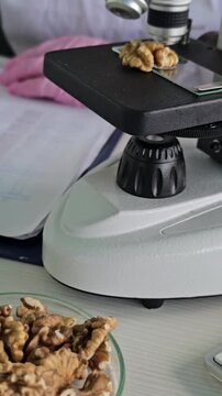 Research on nuts using a microscope and notes taken in a lab setting in a scientific study