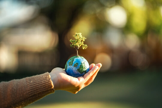 Hand holding miniature Earth with growing tree outdoors, environmental conservation, sustainability and green planet concept