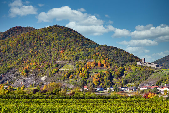 Historic Burgruine Hinterhaus Castle Ruins and Autumn Vineyards in Spitz