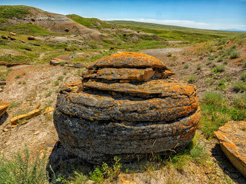 Glacial erratics in a field of grass