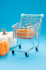 Shopping cart carrying knitted pumpkin for autumn holidays © Agustin