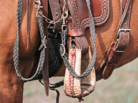 the stirrup