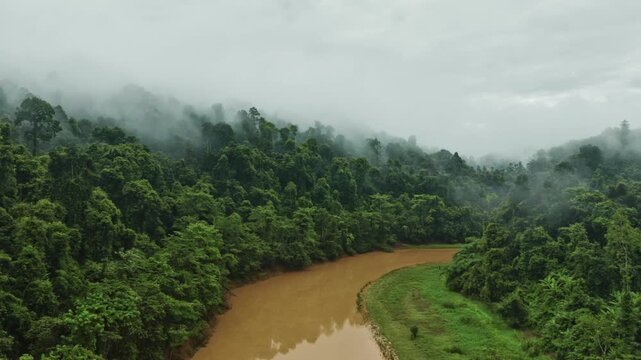 Aerial View of Brown River Flanked by Lush Green Rainforest