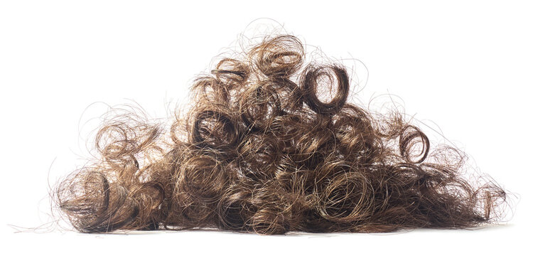 pile of cut brown curly hair isolated white background, messy tangled locks and trimmed ringlets, side view in close-up