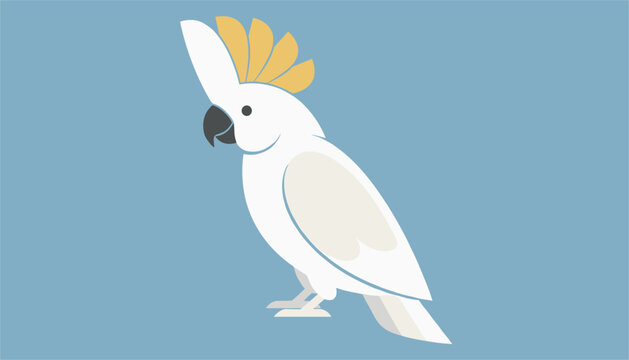 Elegant white cockatoo bird with a beautiful yellow crest perched on a soft blue background vector portrait.