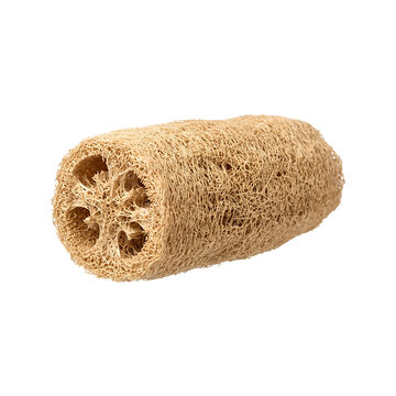 Natural loofah sponge stands horizontally on a plain white background.