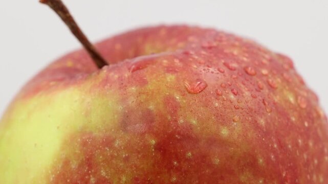 MVI timelapse of a ripe apple.