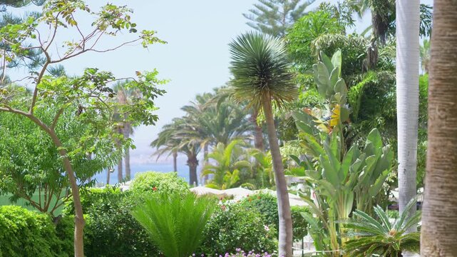 Beautiful and inviting tropical resort offering serene beach views, lush vegetation, and luxurious amenities in 4k slow motion 60fps