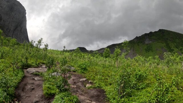 Static wide view of dirt hiking trail through birch forest toward Segla in Senja Norway