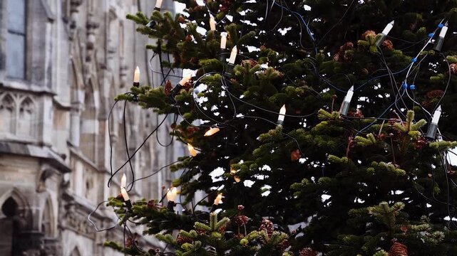Geschm&uuml;ckter Weihnachtsbaum mit Lichterkette und Tannenzapfen vor dem Neuen Rathaus M&uuml;nchen