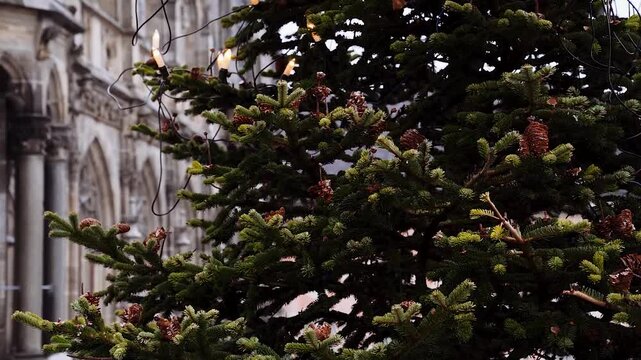Geschm&uuml;ckter Weihnachtsbaum mit Lichtern und Tannenzapfen am Marienplatz M&uuml;nchen