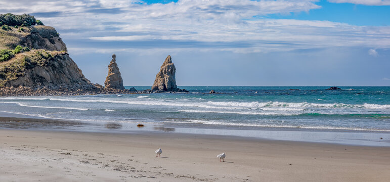 Felsnadeln am Sandstrand der Huriawa Peninsula mit Moewen bei Karitane Neuseeland