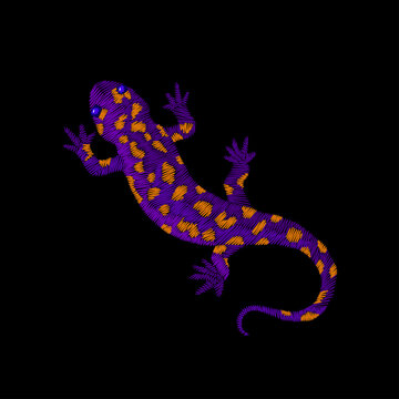 Purple orange spotted gecko lizard embroidery design. Folk needlework stitch style. Clothing towel bag jacket back cover print. Black background hand-stitched vector art.