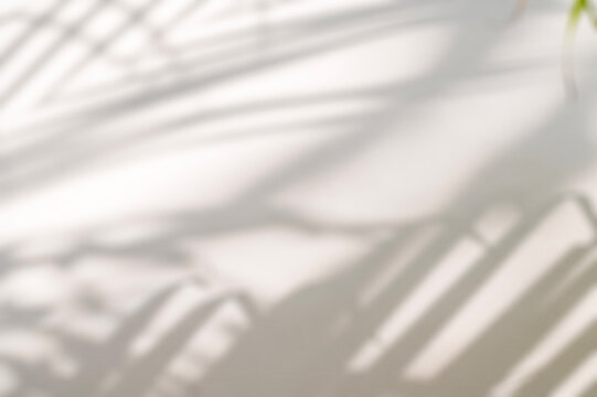Blurred Sunlight and Palm Frond Shadow Texture on Neutral Backdrop.