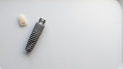 Fototapeta premium Dental implant and prosthetic tooth on a neutral background 