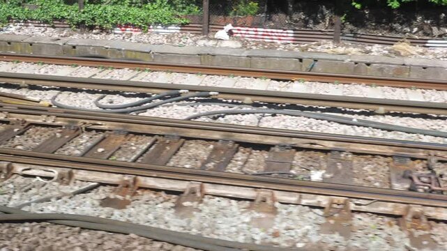 A view from a moving train of railway tracks in 4k slow motion 60fps