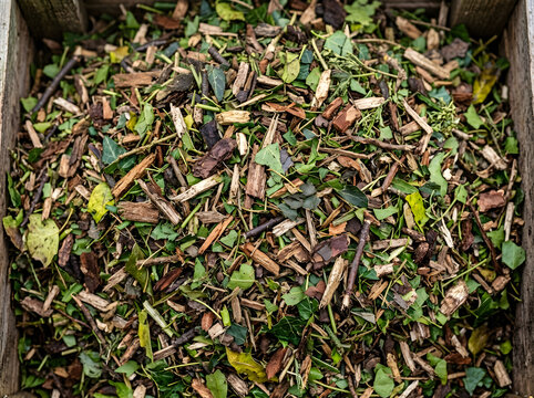 Organic garden mulch with wood chips and leaves | Shredded tree bark and foliage for composting | Natural forest floor soil amendment | Sustainable gardening bio-waste material