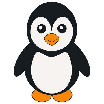 Cute Penguin Cartoon Animal Illustration