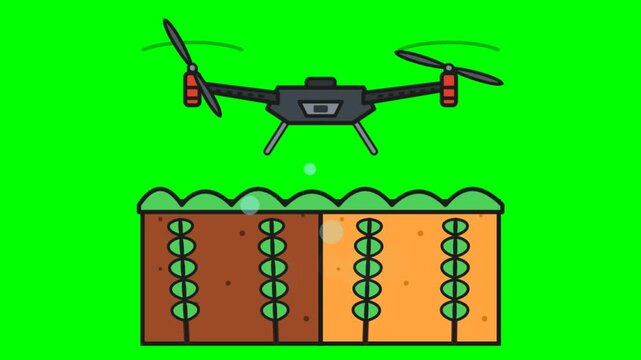 2D animated agricultural drone flying and spraying fertilizer over farm crops on green screen chroma key background