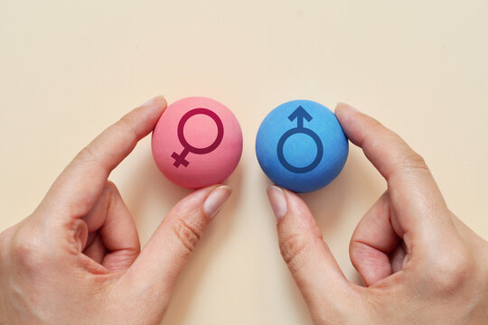 Male and Female Symbols as Equal Partners Representing Gender Equality