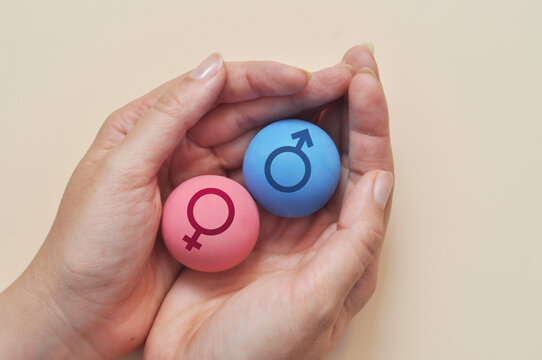 Hands Protecting Male and Female Symbols Representing Gender Equality and Inclusion