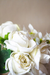 Rosas Blancas © Through the Lens