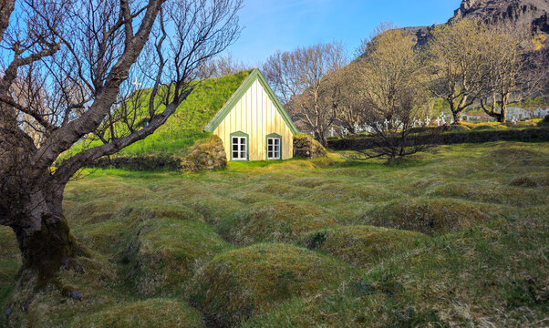 Hofskirkja church, hof iceland turf churches, in a green landscape with bare trees, reflecting traditional nordic architecture. Place of worship, icelandic landscape