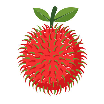 Fresh ripe rambutan tropical fruit with green leaves isolated illustration rambutan tropical vegetarian ingredient illustration isolated