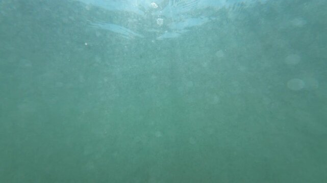 Underwater Ocean Sunlight Slow Motion x4 Filmed at 120fps Green