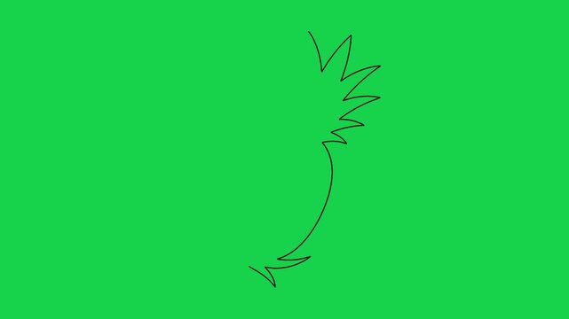 Minimalist pineapple silhouette line drawing animation appearing on vibrant green screen.