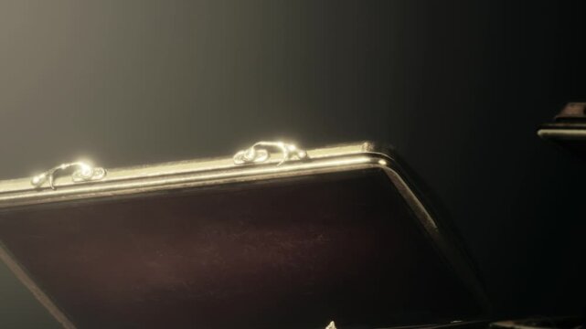 A case is open and illuminated by soft light, revealing shiny metallic clasps. The setting is dark, emphasizing the details of the case and clasps.