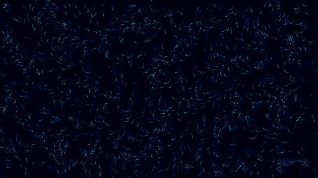 Abstract digital motion background featuring swirling neon curved lines creating hypnotic circular patterns throughout dark cyberspace environment cinematic footage.