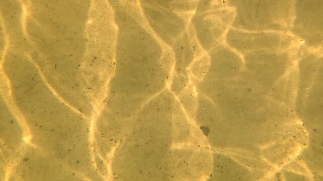 Sunlight caustic patterns shimmer and ripple across a golden sandy seabed underwater, shifting shape steadily as light refracts through moving water waves in a shallow calm sea.