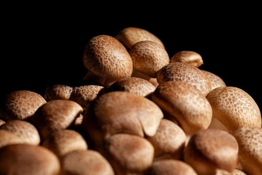 enoki mushroom on black background