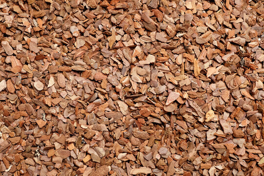Pine bark substrate for plants, featuring finely shredded brown pieces with varying textures and sizes, suitable for gardening and landscaping applications